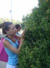 золотой лотос для похудения