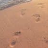 диета быстрой потери веса